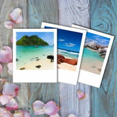 Polaroid 90х110 - 1 шт.